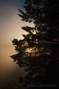 Grand Teton National Park