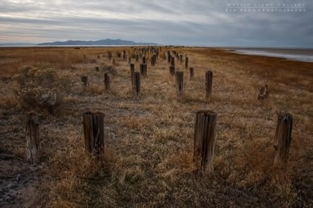 The Tombstones Of Saltair