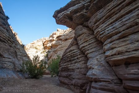 Eardley Canyon
