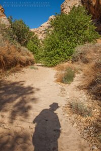Eardley Canyon