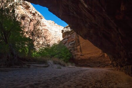 Eardley Canyon