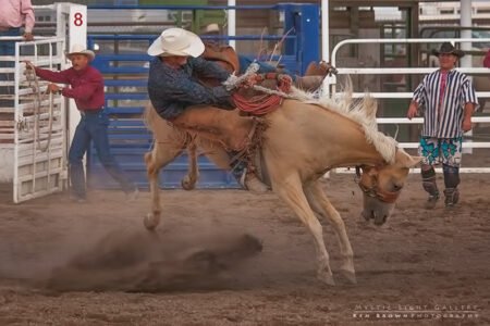YeeHaw