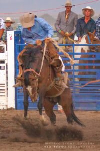 YeeHaw