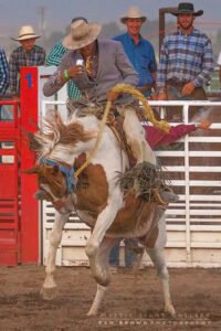 YeeHaw
