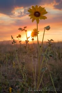 Smoky Sandy Sunset