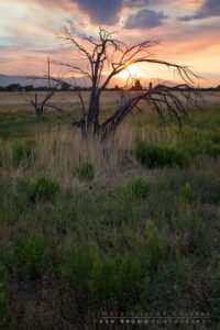 Smoky Sandy Sunset