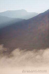 Morning Comes Streaming In