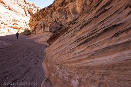 Bell Canyon