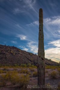 Vulture Mine