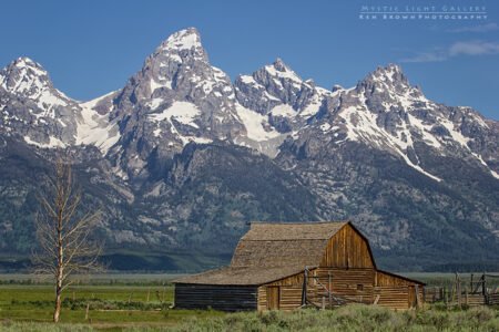 T. A. Moulton Barn