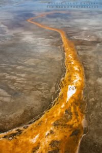The Dragons Tail