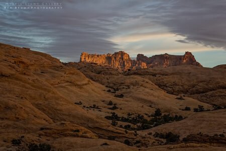Into The Heart Of The Swell