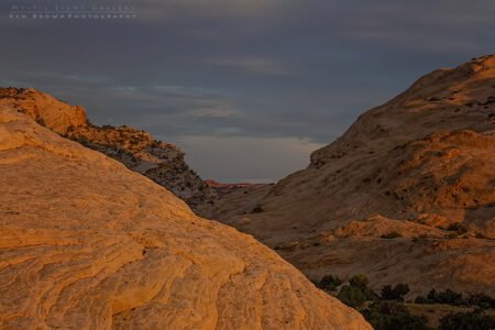 Into The Heart Of The Swell