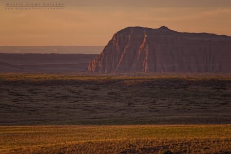 Into The Heart Of The Swell