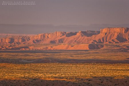 Into The Heart Of The Swell