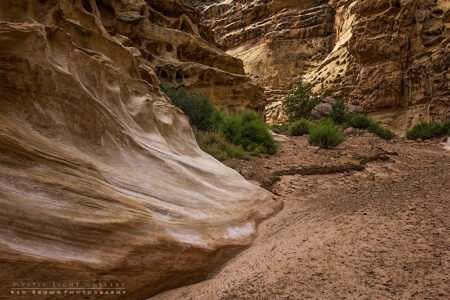 Into The Heart Of The Swell