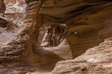 Into The Heart Of The Swell