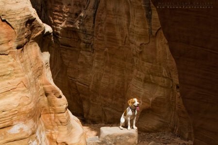 Into The Heart Of The Swell