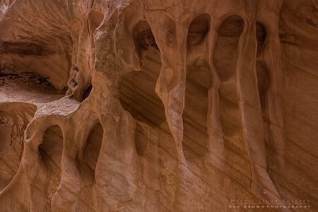 Into The Heart Of The Swell