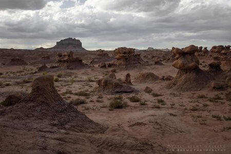 Into The Heart Of The Swell