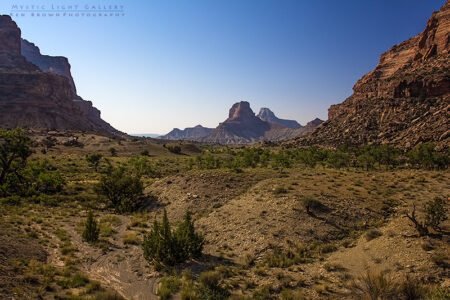 Into The Heart Of The Swell