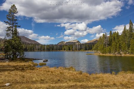 Utah Autumn
