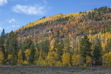 Utah Autumn