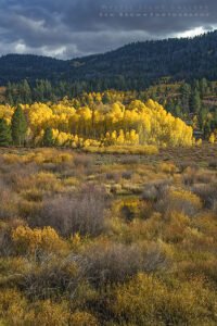 Utah Autumn