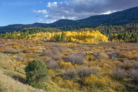 Utah Autumn