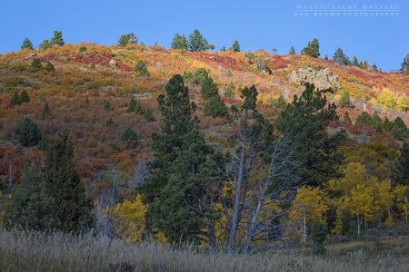 Utah Autumn