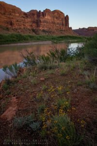 White Rim