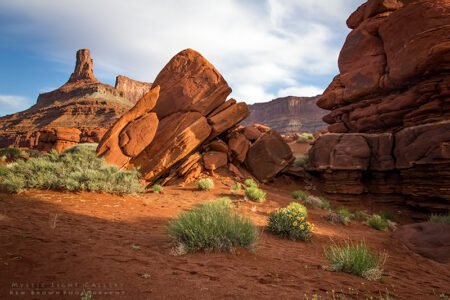 White Rim