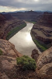 White Rim