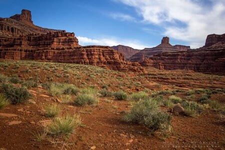White Rim