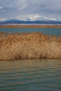 Utah Lake
