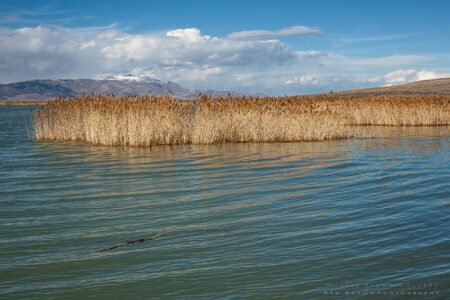 Utah Lake