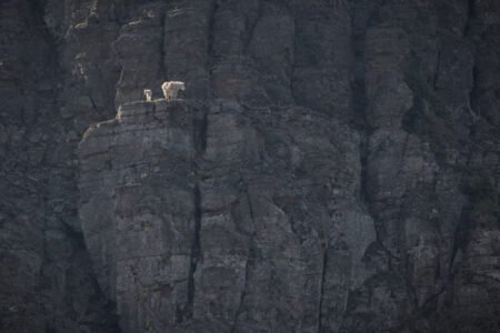 Glacier National Park, MT