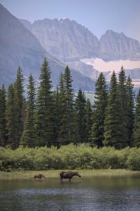 Glacier National Park, MT
