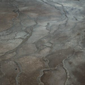 Yellowstone National Park, WY