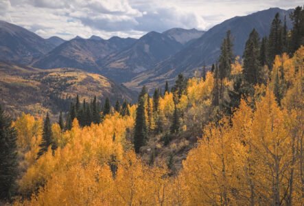 Elk Mountains, Colorado