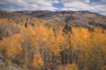 Elk Mountains, Colorado